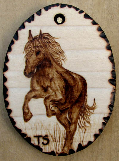 Galop konj horse equus cabalus